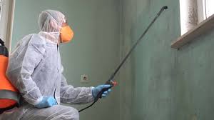  , USA Mold Removal Services Pros